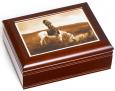 Oasis in the Badlands Accessories Box