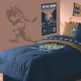 Running Back Wall Shadow