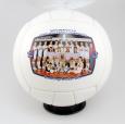 Full Size Personalized Photo Volleyball Trophy