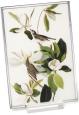 Warbling Vireo Museum Art Glass