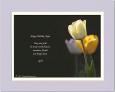 Personalized Tulip Birthday Gift
