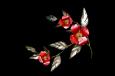 Chrome Dogwood with Copper Flowers