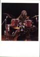 Drumset Dog - Playing the Drums